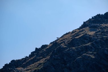 Dağ patikalarına açık mavi gökyüzü ile sonbahar günü ve yeşil bitki örtüsü keçi yamaç ile Slovakya Tatra siste uzak dağ çekirdek