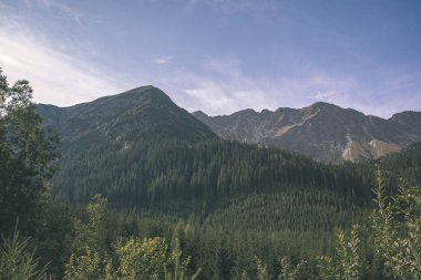 erken sonbahar renkleri - vintage bir retro görünüm içinde ağaçlar ve ormanlar ile kaplı bulutlu ve sisli Slovakça Western Karpat Tatra dağ manzarası