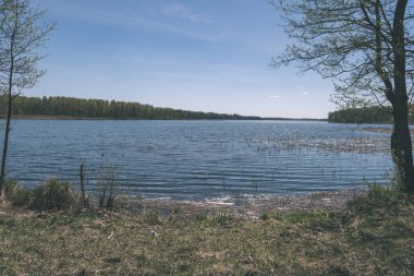 Göl kıyısında ormanla doğal görünümü 
