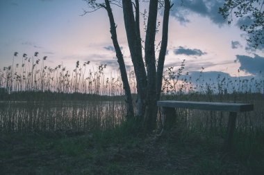 su yeşil yaz orman çevresinde göl - vintage bir retro görünüm ile ahşap ve kompozit malzeme ayak köprüden