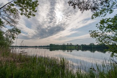 doğal vücut su. gölet yansımaları, ağaç ve bulutlarda sakin su yüzeyi ile
