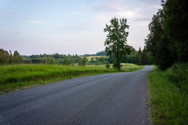 yapraklar ve ağaçlar etrafında ile perspektif içinde basit kırsal orman yolu