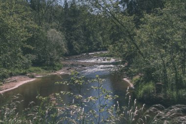 temiz su ve su çimen, bents ve yeşil yeşillik forest - vintage bir retro görünüm yakınındaki göl kenarında sakin yaz günü göster
