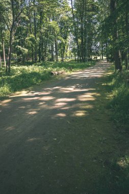 yapraklar ve ağaçlar çevresinde - vintage bir retro görünüm ile perspektif içinde basit kırsal orman yolu