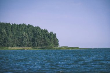 panoramik deniz plaj manzarası içinde kaya, bitkiler ve temiz su ile yaz aylarında güneşli bir gün