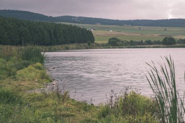 Slovakya dağ nehirde yeşil yaz saati 