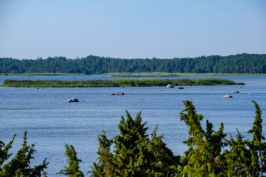 panoramik deniz plaj manzarası içinde kaya, bitkiler ve temiz su ile yaz aylarında güneşli bir gün