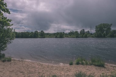 temiz su ve su çimen, bents ve yeşil yeşillik forest yakınındaki göl kenarında sakin yaz günü göster