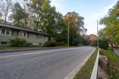 yapraklar ve ağaçlar etrafında ile perspektif içinde basit kırsal orman yolu