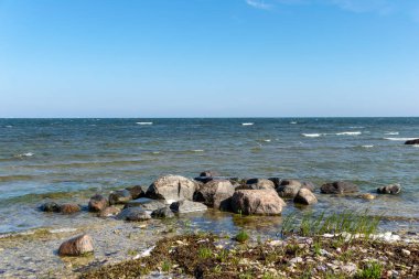 panoramik deniz plaj manzarası içinde kaya, bitkiler ve temiz su ile yaz aylarında güneşli bir gün