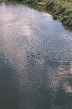 doğal vücut su. Gölet yansımaları, ağaç ve sakin su yüzeyi - vintage bir retro görünüm bulutlarda ile.