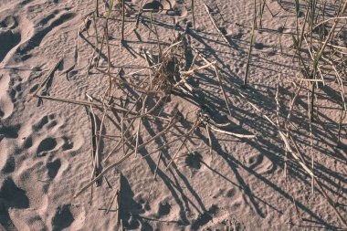 Soyut doku kum desen yakınındaki su vücut ile bazı bitkiler - retro vintage bak