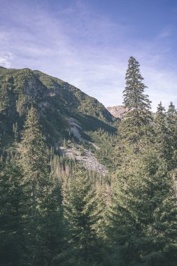 erken sonbahar renkleri - vintage bir retro görünüm içinde ağaçlar ve ormanlar ile kaplı bulutlu ve sisli Slovakça Western Karpat Tatra dağ manzarası