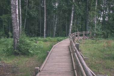 su yeşil yaz orman çevresinde göl - vintage bir retro görünüm ile ahşap ve kompozit malzeme ayak köprüden
