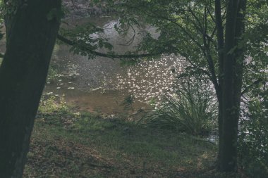 doğal vücut su. Gölet yansımaları, ağaç ve sakin su yüzeyi - vintage bir retro görünüm bulutlarda ile.