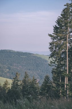 Batı Karpat Dağları açık gün Tatra yürüyüş rotaları