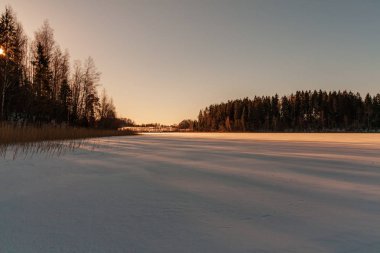 alanları ve ağaçların kar altında basit kırsal manzara Letonya. eski çim uzanarak