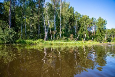yaz günü suda kumtaşı kayalıklarla ve kuru ağaç ormanları içine Nehri sakin. karanlık su nehir Brasla, Letonya