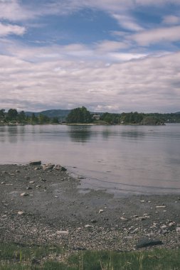 kayalık sahil şeridine Norveç'te kaç çam ağaçları ve mavi gökyüzü altında sakin su 