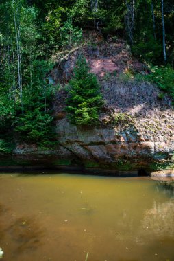 yaz günü suda kumtaşı kayalıklarla ve kuru ağaç ormanları içine Nehri sakin. karanlık su nehir Brasla, Letonya