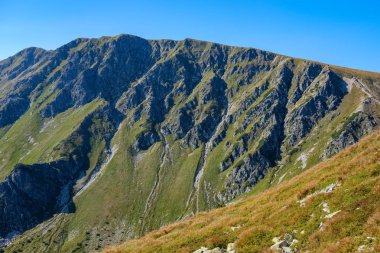 Uzak dağ çekirdek Slovakya'da Tatra mountain parkurları mavi gökyüzü ve yeşil bitki örtüsü ile açık sonbahar günü sis