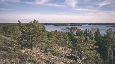 kayalık sahil şeridine Finlandiya'da birkaç çam ağaçları ve yaz - vintage bir retro görünüm sakin suda