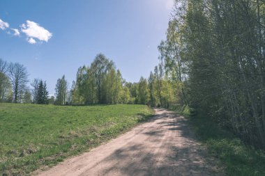 yapraklar ve ağaçlar çevresinde - vintage bir retro görünüm ile perspektif içinde basit kırsal orman yolu