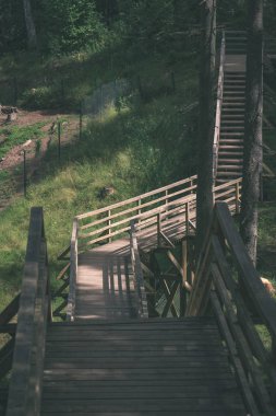 su yeşil yaz orman çevresinde göl - vintage bir retro görünüm ile ahşap ve kompozit malzeme ayak köprüden