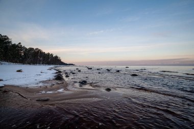Dondurulmuş deniz ve karlı sahil doğal görünümünü