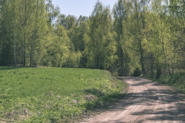 yapraklar ve ağaçlar çevresinde - vintage bir retro görünüm ile perspektif içinde basit kırsal orman yolu