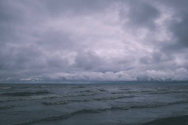 panoramik deniz plaj kayalar, bitkiler ve temiz su ile yaz aylarında güneşli gün - vintage bir retro görünüm görünümünde
