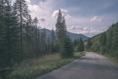 Slovakya dağlarda kadar önde gelen yeşil çayır ülke çakıl yolda 