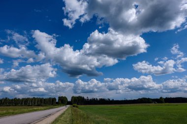 kabarık bulutlar ile mavi gökyüzü altında doğal yeşil alan
