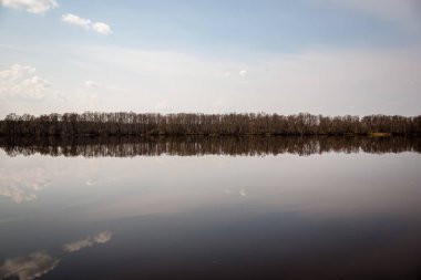 doğal vücut su. gölet yansımaları, ağaç ve bulutlarda sakin su yüzeyi ile