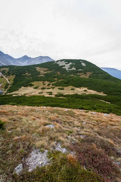 Sentiers Randonnée Slovaquie Montagnes Tatra Près Lac Montagne Rohache — Photo