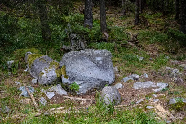 Τεράστιος Γρανιτένιος Βράχος Ενιαία Περιβάλλον Φύση Απομονωμένο Από Άλλα — Φωτογραφία Αρχείου