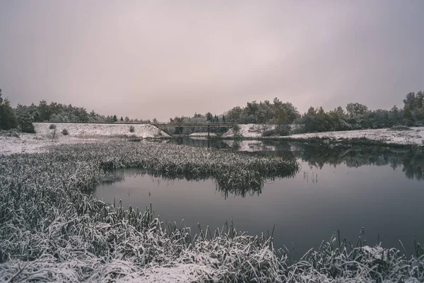 Холодный Спокойный Вид Утром Озера Первым Снегом Зимой Зелеными Листьями — стоковое фото