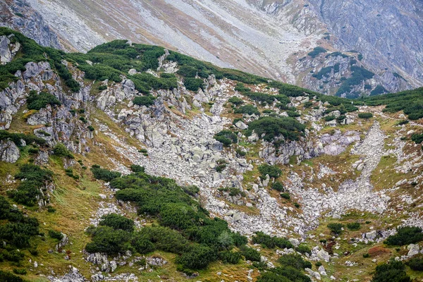Trasee Drumeții Slovacia Munții Tatra Lângă Lacul Montan Rohache — Fotografie, imagine de stoc