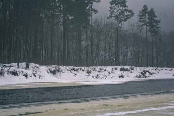 Foresta Selvaggia Inverno Con Alto Livello Neve Tarda Sera Prima — Foto Stock