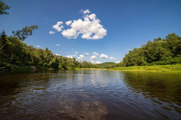 Wasserlauf Fluss Amata Lettland Mit Sandsteinfelsen Grünes Laub Sommermorgen — Stockfoto