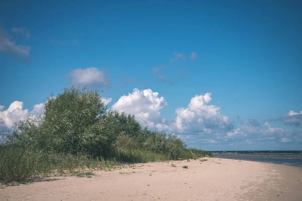 Pustej Plaży Wiosną Niektórych Ptaków Ładunków Statków Horyzoncie Błękitne Niebo — Zdjęcie stockowe