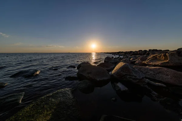 Панорамный Вид Море Летом Камнями Растениями Чистой Водой Солнечный День — стоковое фото