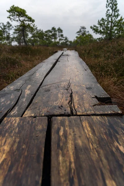 old wooden plank boardwalk trail in swamp area near water in autumn colored nature