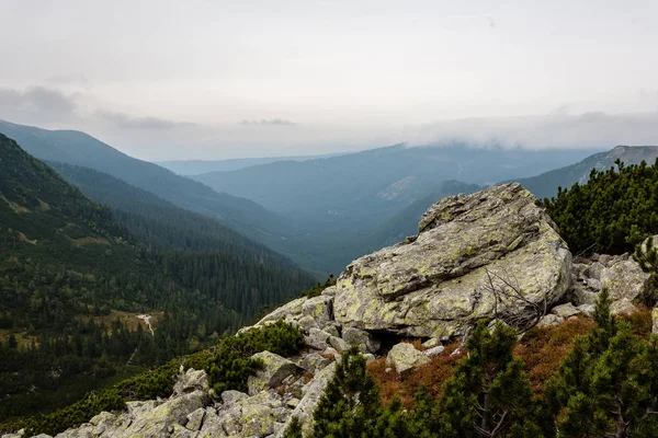 Wanderwege Der Slowakischen Tatra Der Nähe Des Bergsees Rohache — Stockfoto