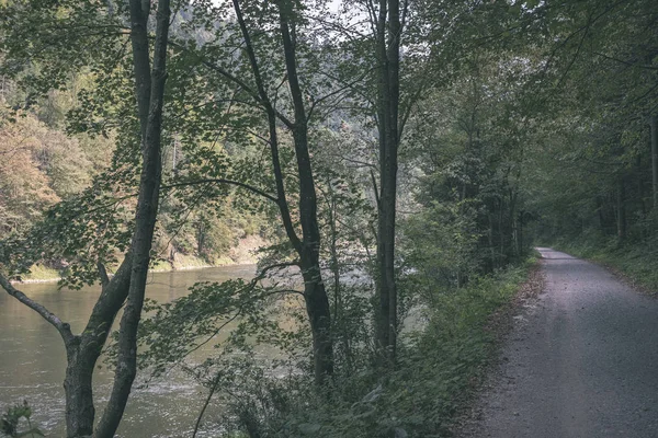 夏天树木后面的绿水河 Dunajec 斯洛伐克 — 图库照片