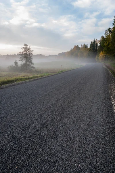 View Country Fog Autumn Forest — Stock Photo, Image