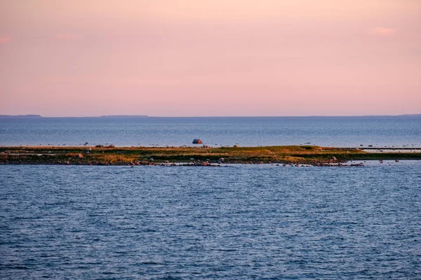 Panoramik Deniz Plaj Manzarası Içinde Kaya Bitkiler Temiz Ile Yaz — Stok fotoğraf