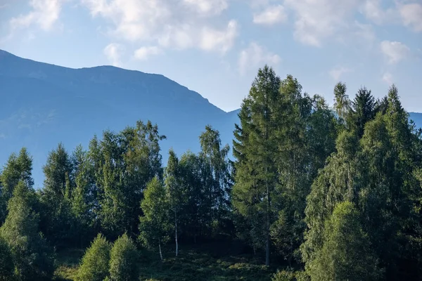 Distant mountain cores in mist in slovakia Tatra mountain trails in clear autumn day with blue sky and green vegetation