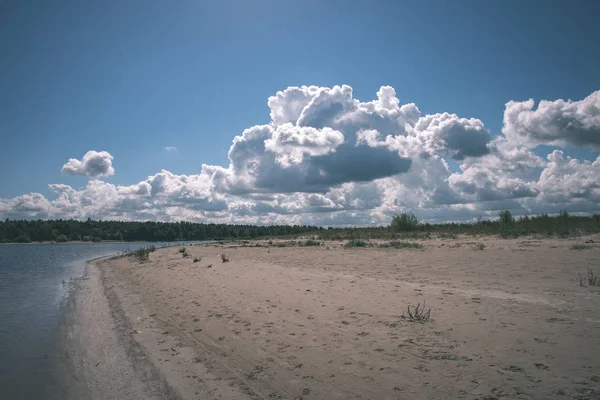 Prázdné Pláže Jaře Některými Ptáků Nákladní Lodě Obzoru Modrá Obloha — Stock fotografie