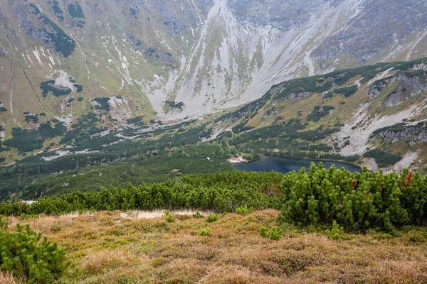 Vandringsleder Slovakien Tatra Nära Bergen Mountain Lake Rohache — Stockfoto